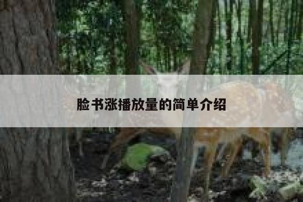脸书涨播放量的简单介绍 第1张