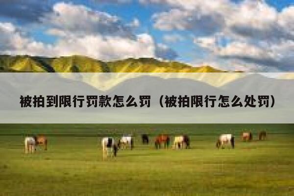 被拍到限行罚款怎么罚（被拍限行怎么处罚） 第1张