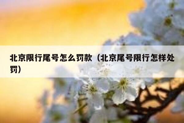北京限行尾号怎么罚款（北京尾号限行怎样处罚） 第1张