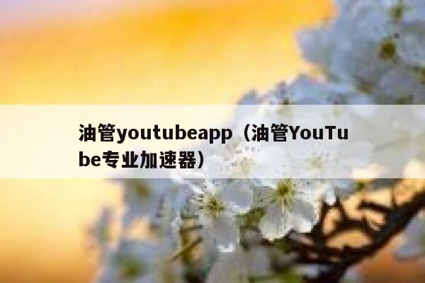 油管youtubeapp（油管YouTube专业加速器） 第1张