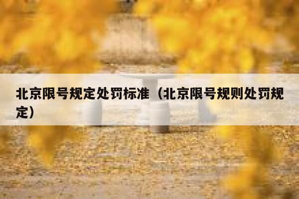 北京限号规定处罚标准（北京限号规则处罚规定） 第1张