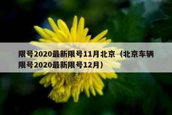 限号2020最新限号11月北京（北京车辆限号2020最新限号12月） 第1张