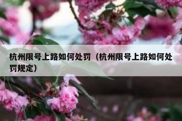 杭州限号上路如何处罚（杭州限号上路如何处罚规定） 第1张