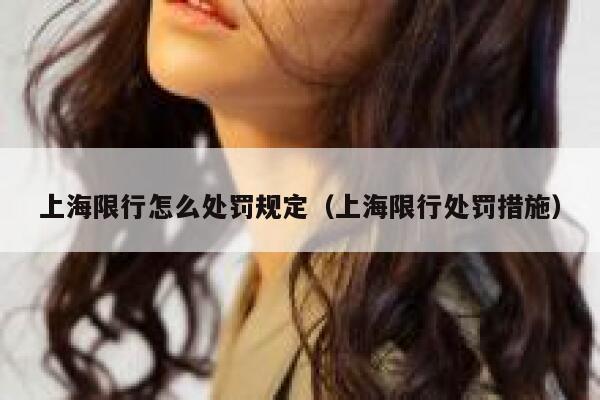 上海限行怎么处罚规定（上海限行处罚措施） 第1张