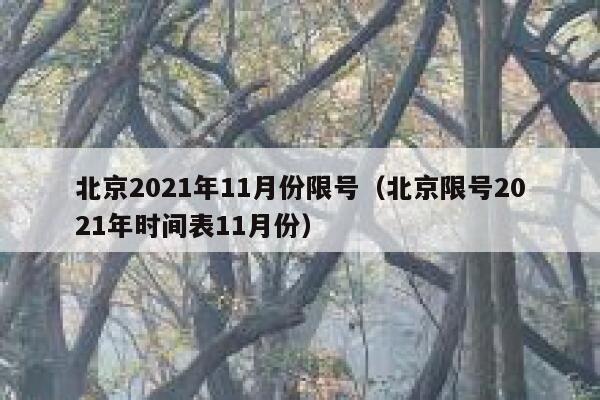 北京2021年11月份限号（北京限号2021年时间表11月份） 第1张
