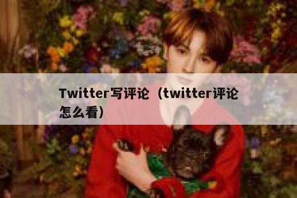 Twitter写评论（twitter评论怎么看） 第1张