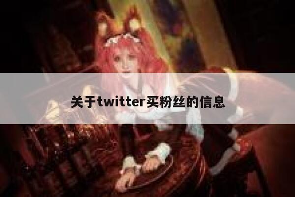 关于twitter买粉丝的信息 第1张