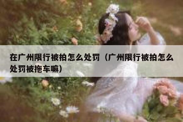 在广州限行被拍怎么处罚（广州限行被拍怎么处罚被拖车嘛） 第1张