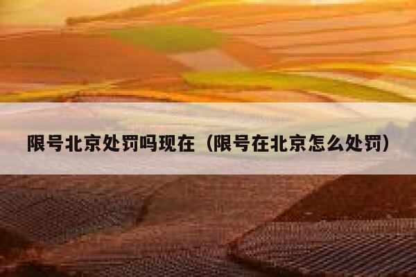 限号北京处罚吗现在（限号在北京怎么处罚） 第1张