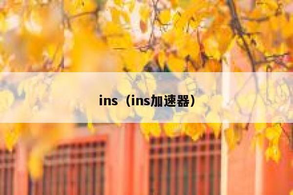 ins（ins加速器） 第1张