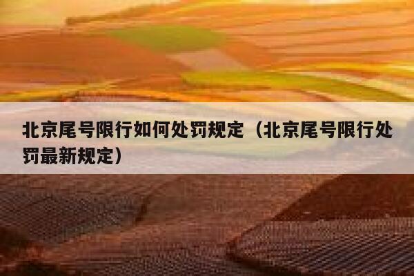 北京尾号限行如何处罚规定（北京尾号限行处罚最新规定） 第1张
