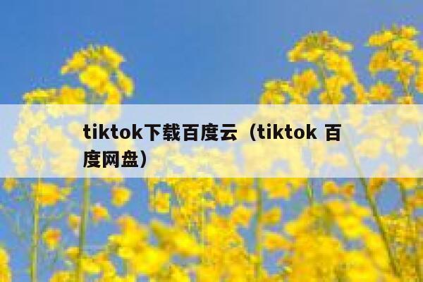 tiktok下载百度云（tiktok 百度网盘） 第1张