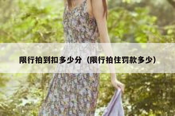 限行拍到扣多少分（限行拍住罚款多少） 第1张