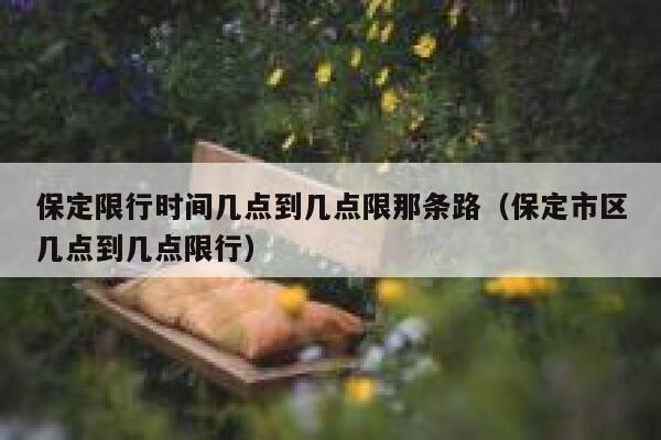 保定限行时间几点到几点限那条路（保定市区几点到几点限行） 第1张