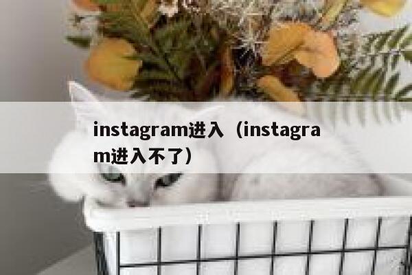 instagram进入（instagram进入不了） 第1张