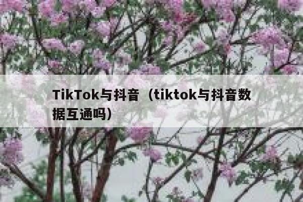 TikTok与抖音（tiktok与抖音数据互通吗） 第1张