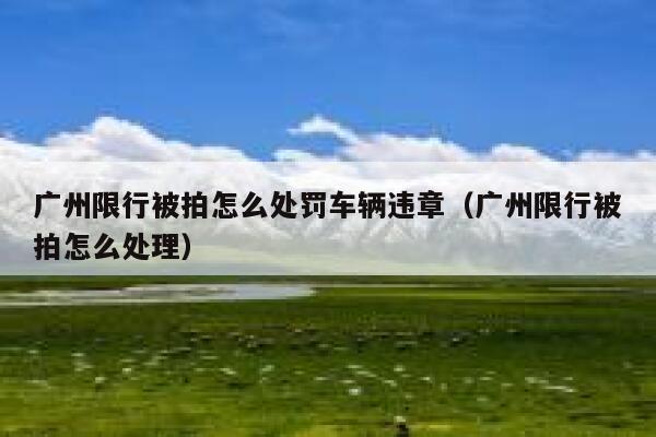 广州限行被拍怎么处罚车辆违章（广州限行被拍怎么处理） 第1张