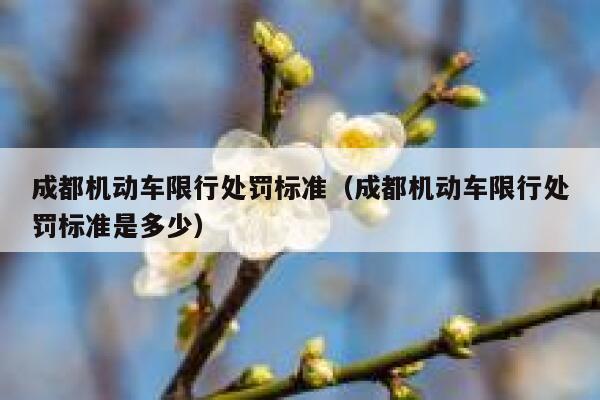 成都机动车限行处罚标准（成都机动车限行处罚标准是多少） 第1张