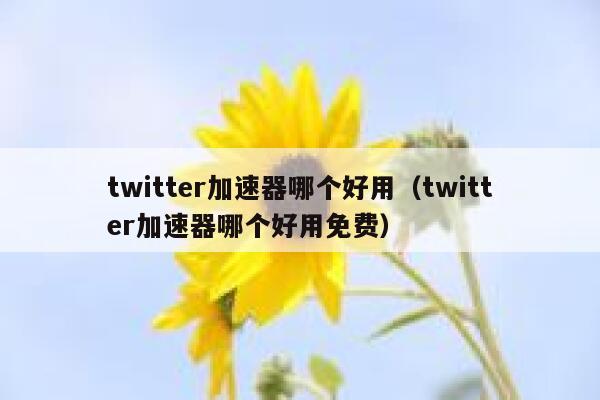 twitter加速器哪个好用（twitter加速器哪个好用免费） 第1张