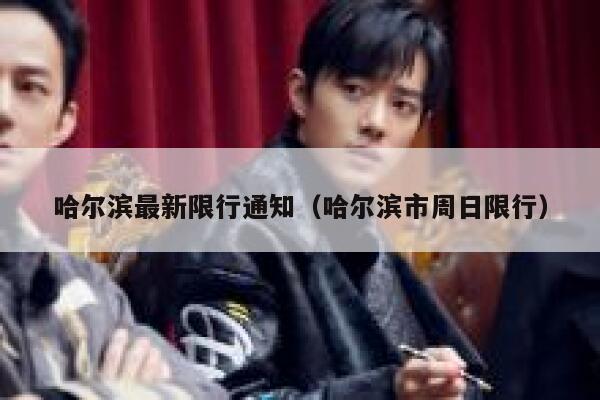 哈尔滨最新限行通知（哈尔滨市周日限行） 第1张