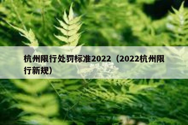 杭州限行处罚标准2022（2022杭州限行新规） 第1张