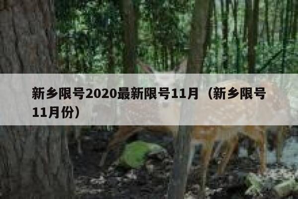 新乡限号2020最新限号11月（新乡限号11月份） 第1张