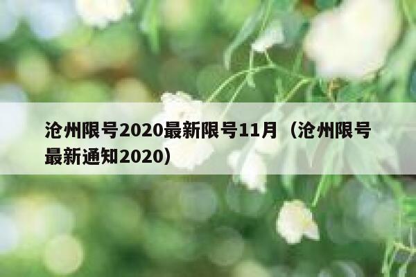 沧州限号2020最新限号11月（沧州限号最新通知2020） 第1张