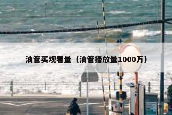 油管买观看量（油管播放量1000万） 第1张
