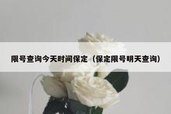限号查询今天时间保定（保定限号明天查询） 第1张
