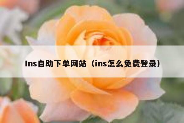 Ins自助下单网站（ins怎么免费登录） 第1张