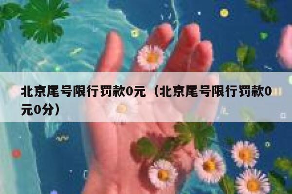 北京尾号限行罚款0元（北京尾号限行罚款0元0分） 第1张