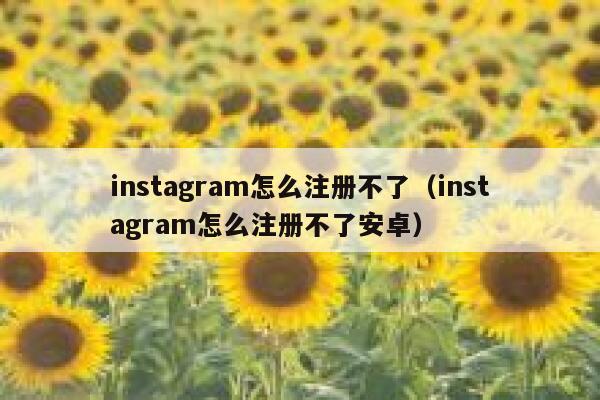 instagram怎么注册不了（instagram怎么注册不了安卓） 第1张