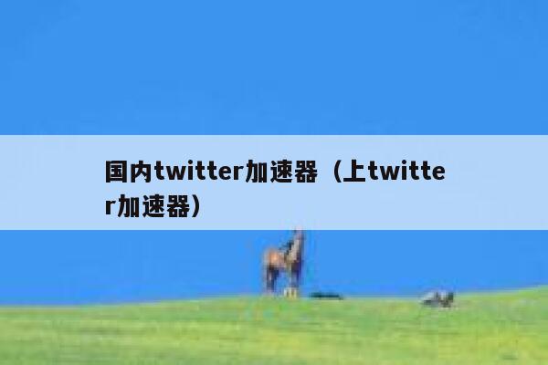 国内twitter加速器（上twitter加速器） 第1张