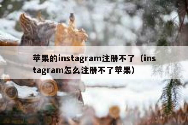 苹果的instagram注册不了（instagram怎么注册不了苹果） 第1张