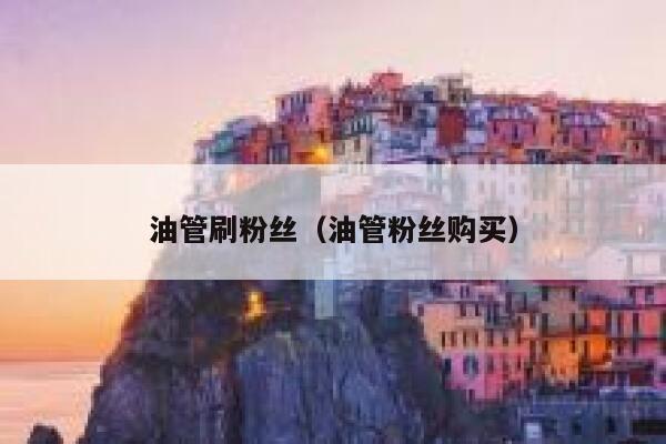 油管刷粉丝（油管粉丝购买） 第1张