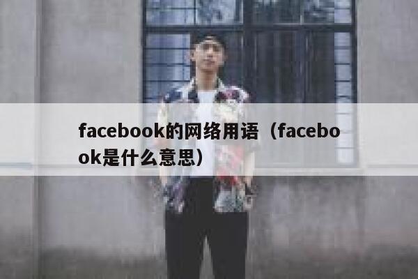 facebook的网络用语（facebook是什么意思） 第1张