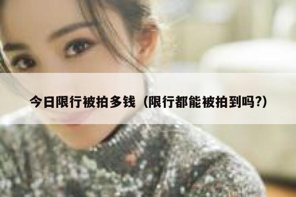 今日限行被拍多钱（限行都能被拍到吗?） 第1张