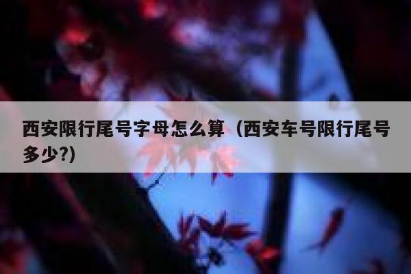 西安限行尾号字母怎么算（西安车号限行尾号多少?） 第1张