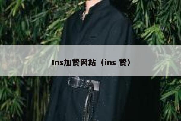 Ins加赞网站（ins 赞） 第1张