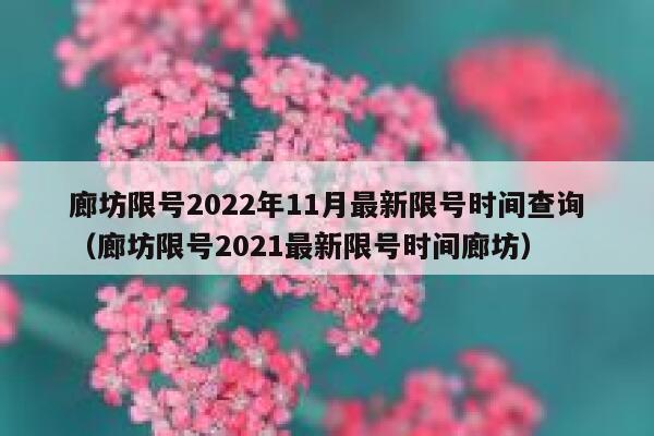 廊坊限号2022年11月最新限号时间查询（廊坊限号2021最新限号时间廊坊） 第1张