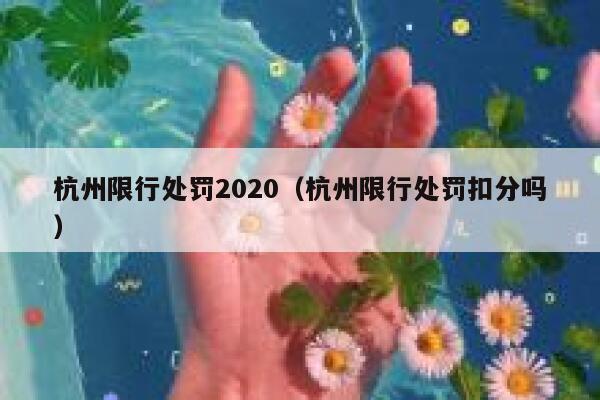 杭州限行处罚2020（杭州限行处罚扣分吗） 第1张