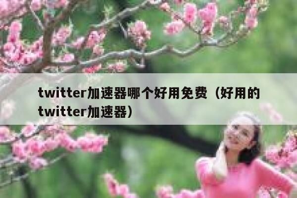 twitter加速器哪个好用免费（好用的twitter加速器） 第1张