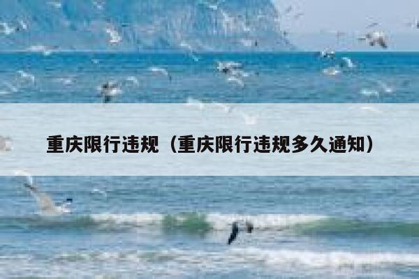 重庆限行违规（重庆限行违规多久通知） 第1张
