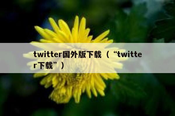 twitter国外版下载（“twitter下载”） 第1张
