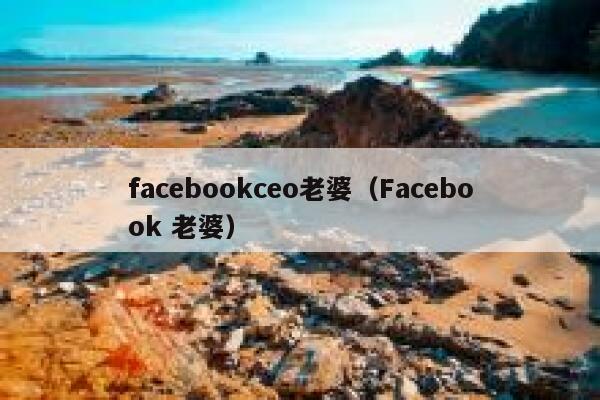 facebookceo老婆（Facebook 老婆） 第1张