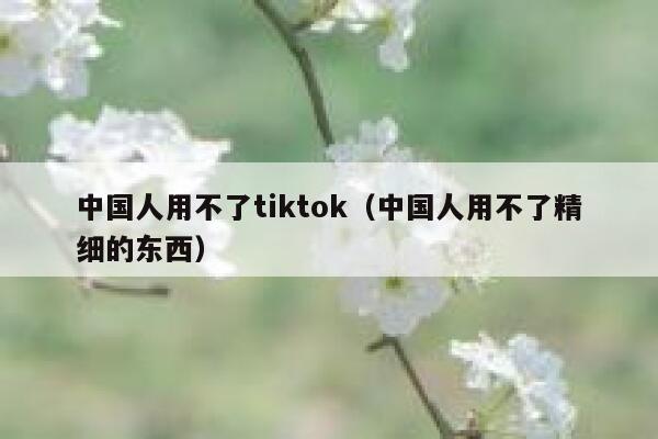 中国人用不了tiktok（中国人用不了精细的东西） 第1张