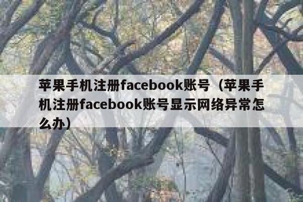 苹果手机注册facebook账号（苹果手机注册facebook账号显示网络异常怎么办） 第1张