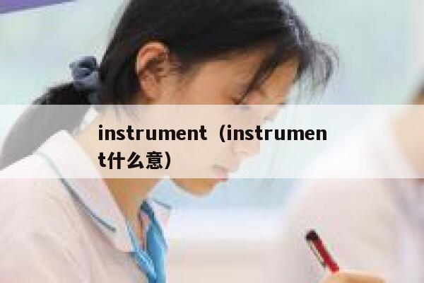 instrument（instrument什么意） 第1张
