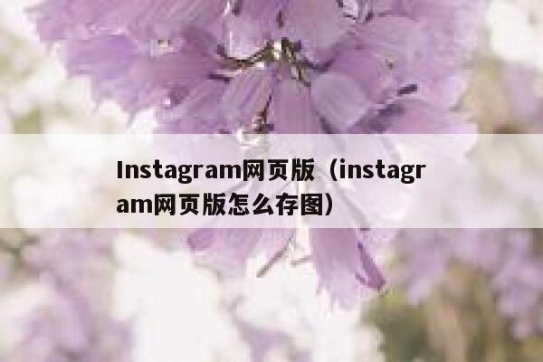 Instagram网页版（instagram网页版怎么存图） 第1张