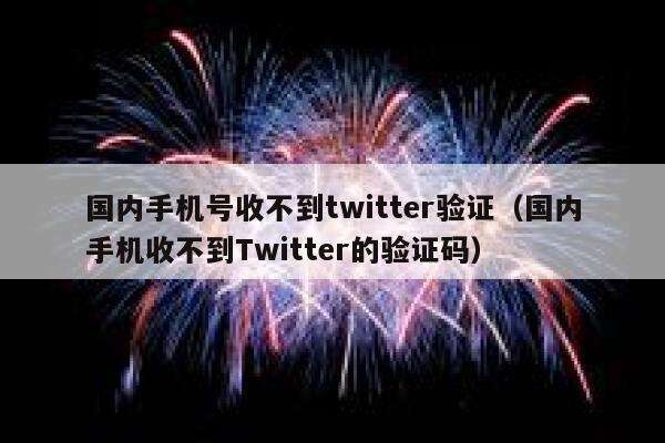 国内手机号收不到twitter验证（国内手机收不到Twitter的验证码） 第1张